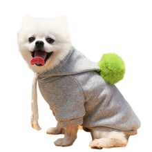 Load image into Gallery viewer, Warm Dog Winter Clothes Cute Fruit Dog Coat Hoodies Fleece Pet Dogs Costume Jacket for French Bulldog Chihuahua Ropa Para Perro
