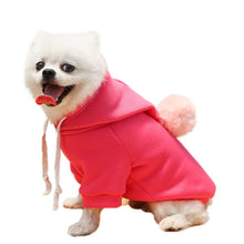 Load image into Gallery viewer, Warm Dog Winter Clothes Cute Fruit Dog Coat Hoodies Fleece Pet Dogs Costume Jacket for French Bulldog Chihuahua Ropa Para Perro
